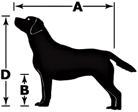 How to Measure Your Dog